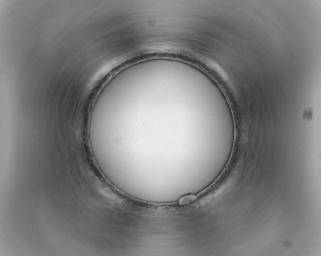 X0000090770922200708172105