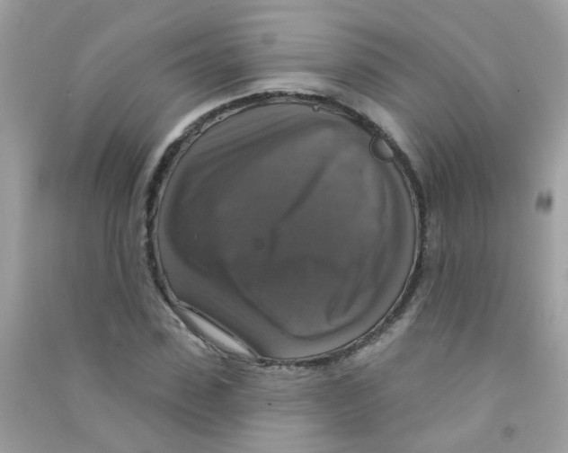 X0000090770923200708172105