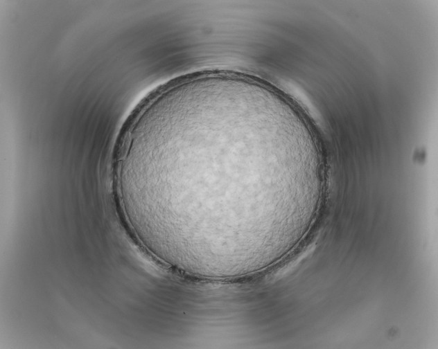 X0000090770924200708172105