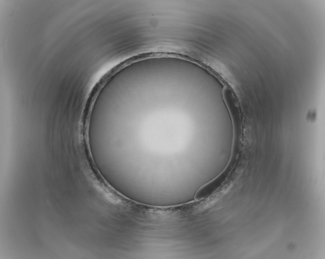 X0000090770928200708172105