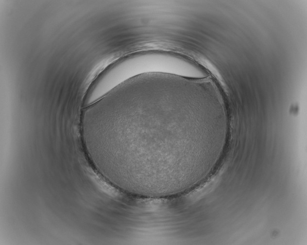 X0000090770930200708172105