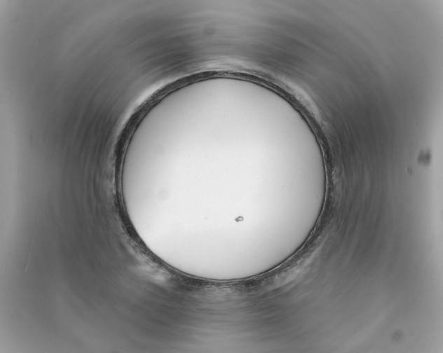 X0000090770931200708172105