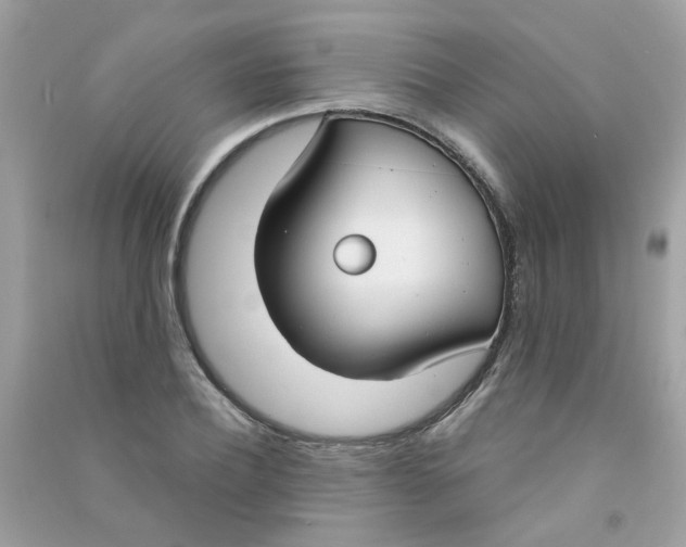 X0000090770932200708172105
