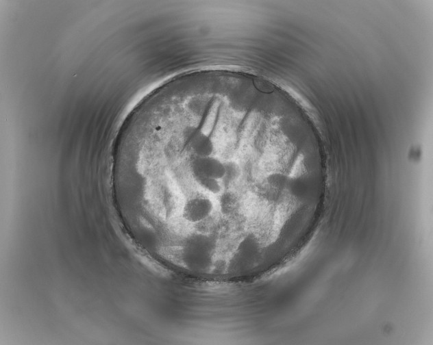 X0000090770933200708172105