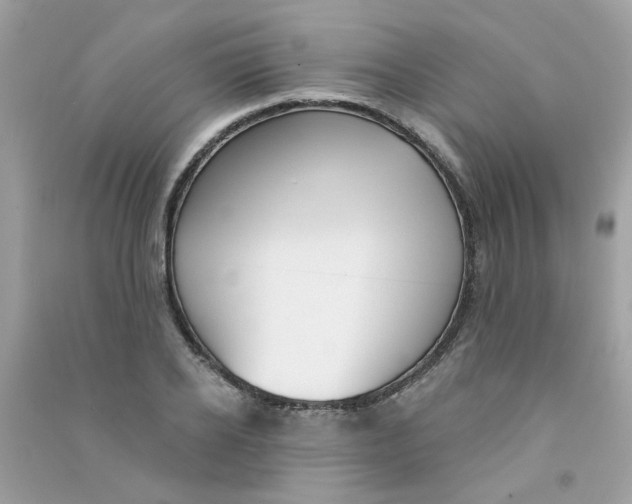 X0000090770934200708172105