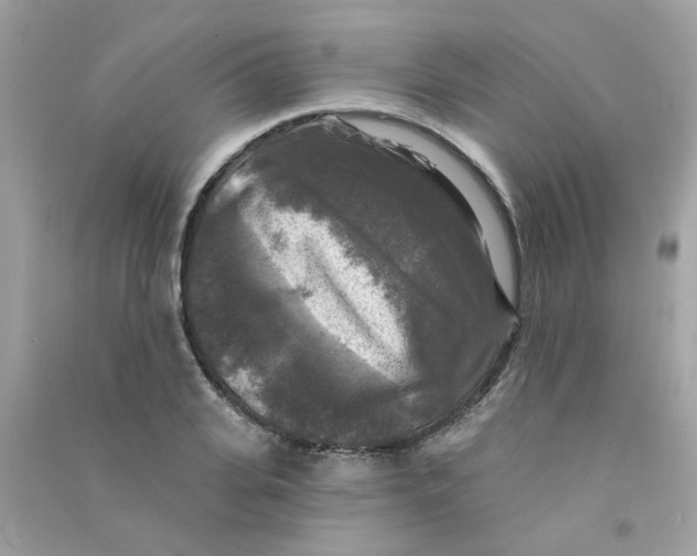X0000090770935200708172105