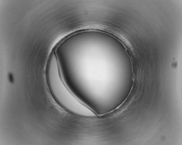 X0000090770936200708172105