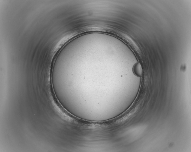 X0000090770938200708172105