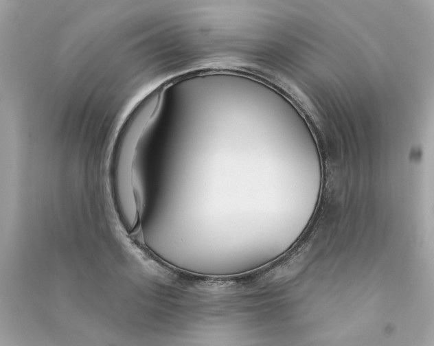 X0000090770939200708172105