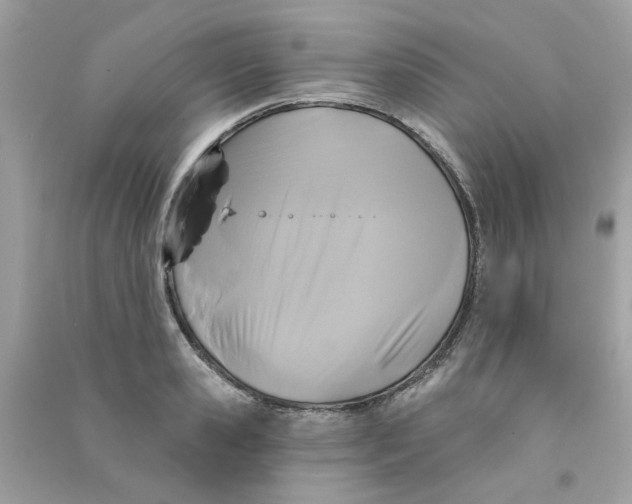 X0000090770941200708172105