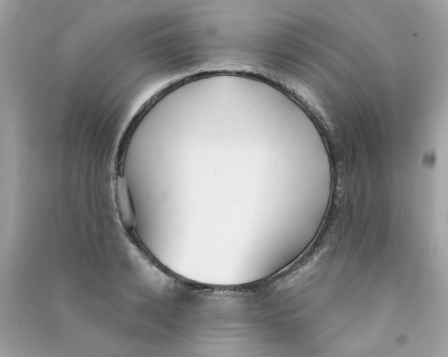 X0000090770942200708172105