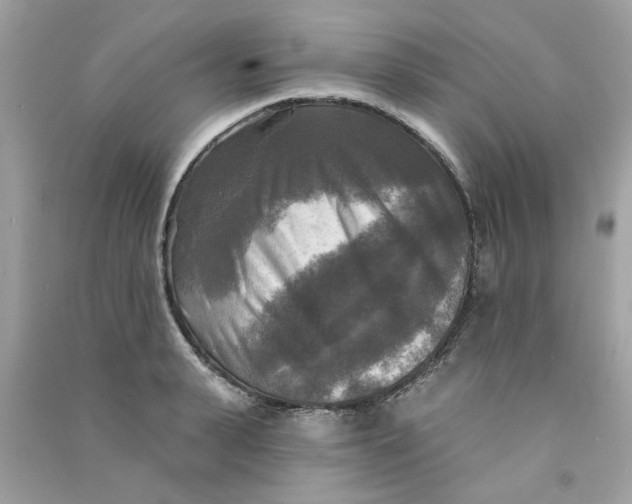 X0000090770943200708172105