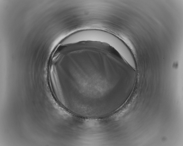 X0000090770944200708172105