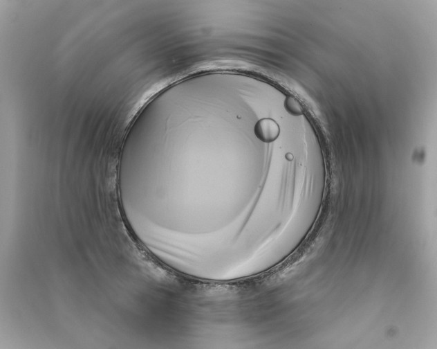 X0000090770945200708172105