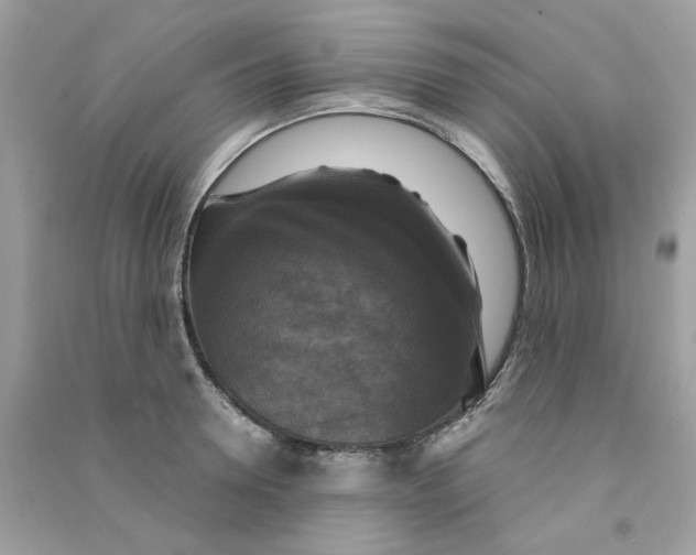 X0000090770946200708172105