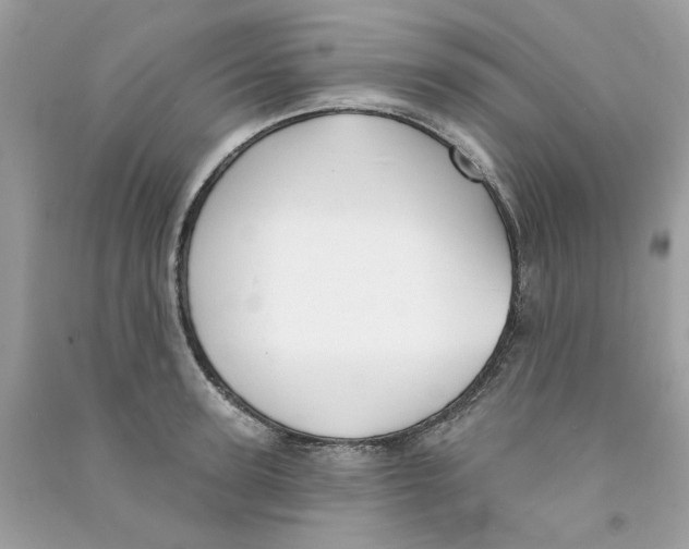 X0000090770947200708172105