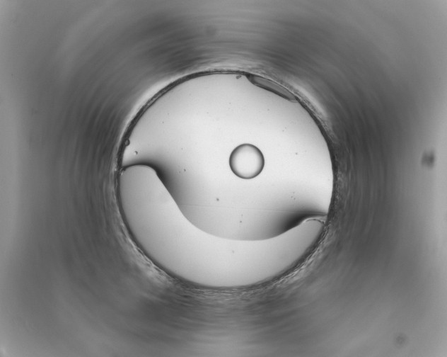 X0000090770948200708172105