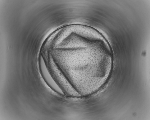 X0000090770949200708172105