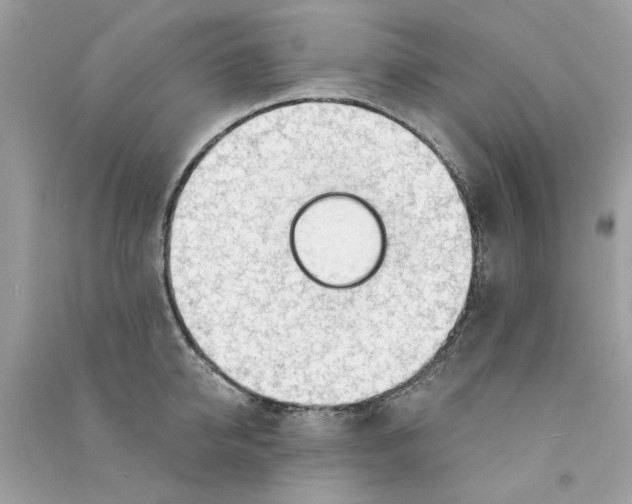 X0000090770950200708172105