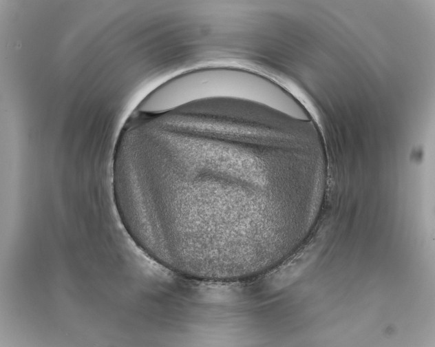 X0000090770951200708172105