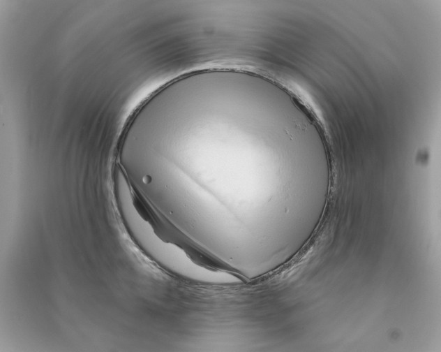 X0000090770952200708172105