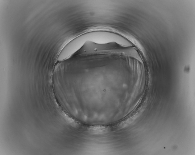 X0000090770953200708172105