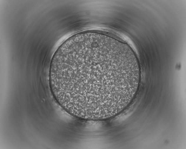 X0000090770954200708172105