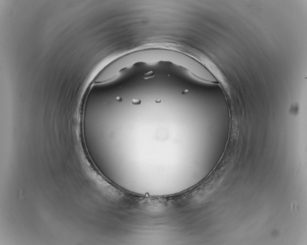 X0000090770955200708172105