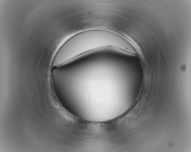 X0000090770956200708172105