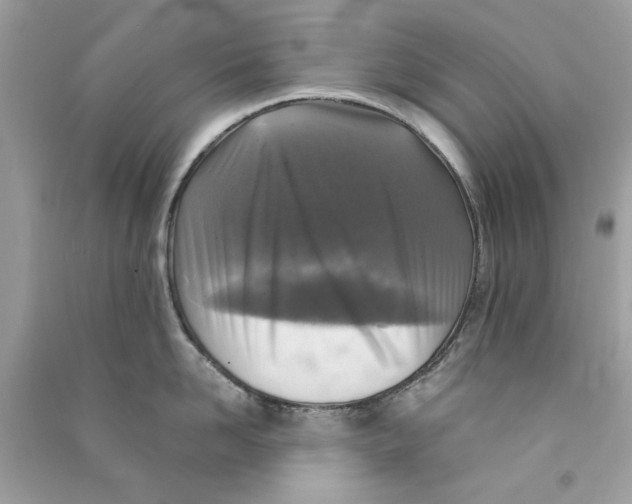 X0000090770958200708172105