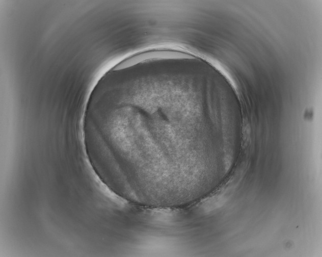 X0000090770959200708172105