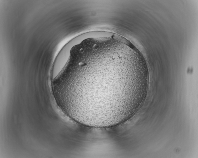X0000090770960200708172105