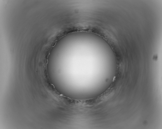X0000090770961200708172105