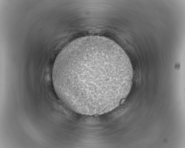 X0000090770962200708172105