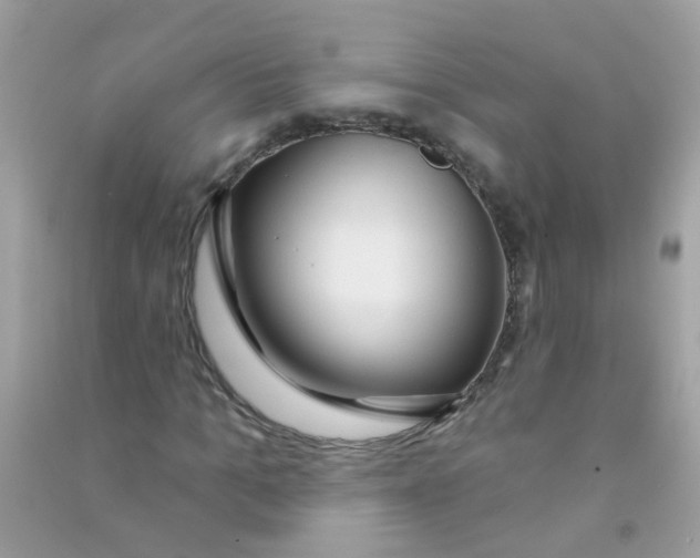 X0000090770965200708172105