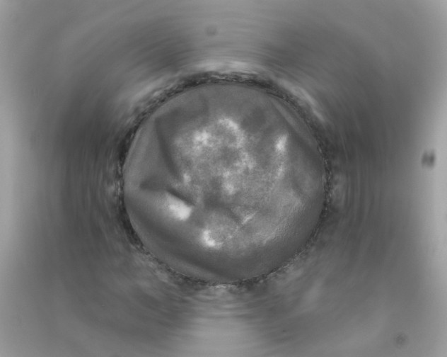 X0000090770966200708172105