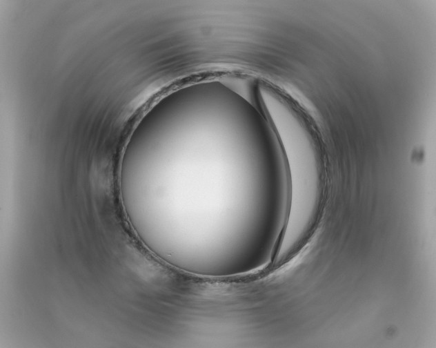 X0000090770969200708172105