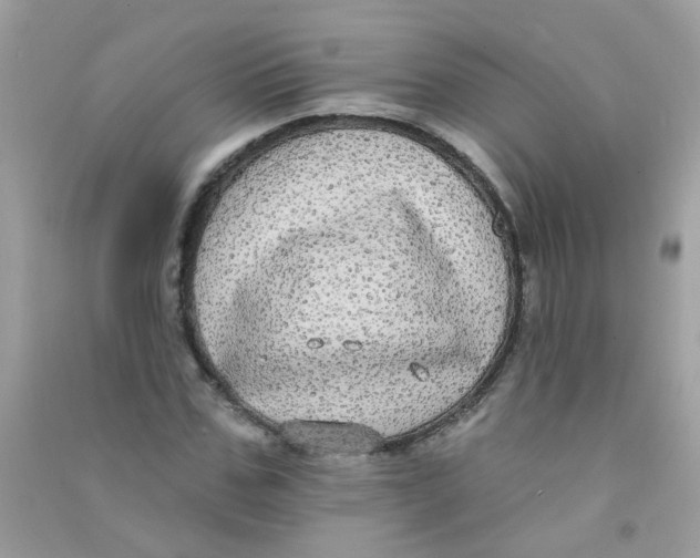 X0000090770971200708172105