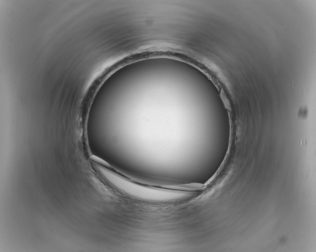 X0000090770973200708172105