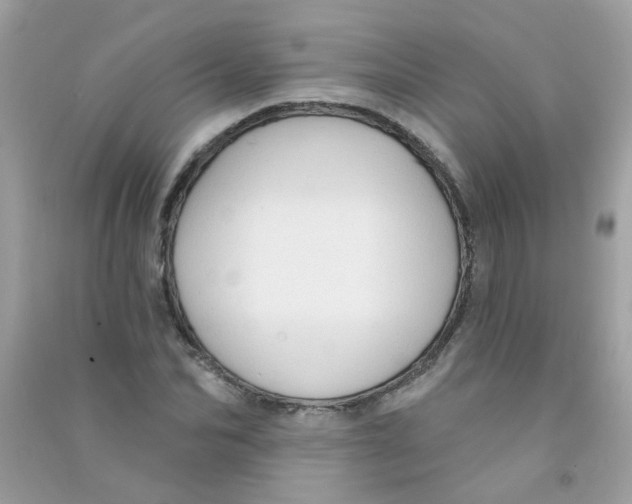 X0000090770974200708172105