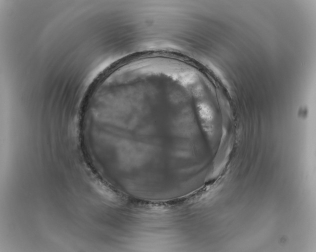 X0000090770975200708172105