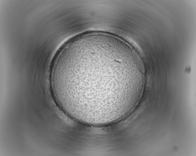 X0000090770976200708172104
