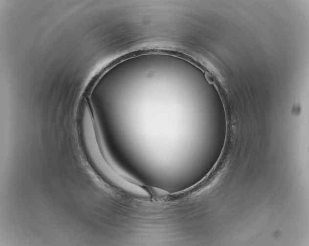 X0000090770981200708172104