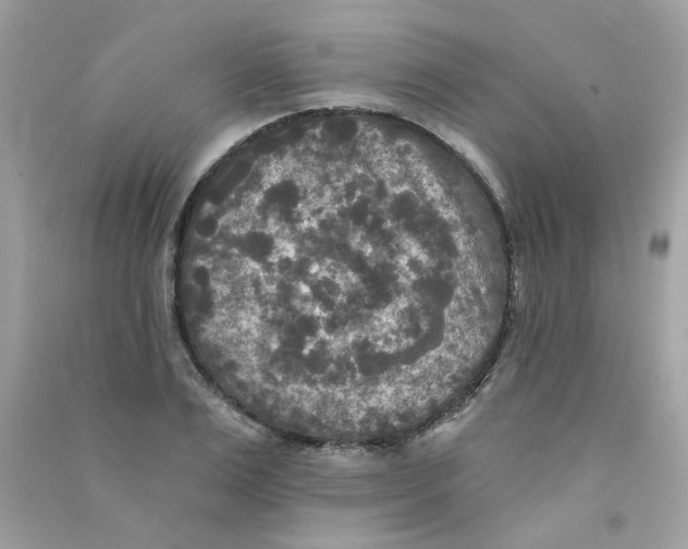 X0000090770983200708172104