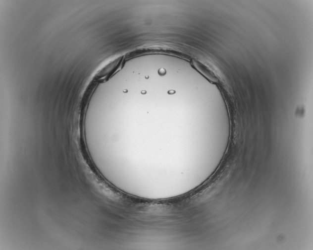 X0000090770984200708172104