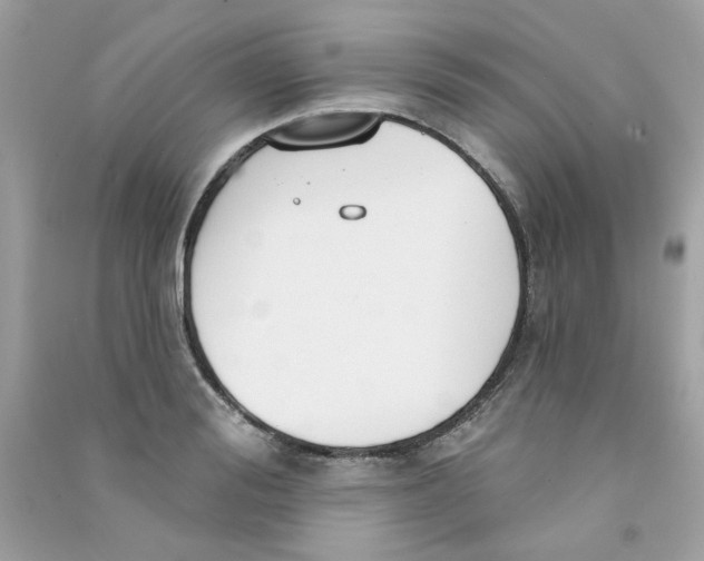 X0000090770988200708172104