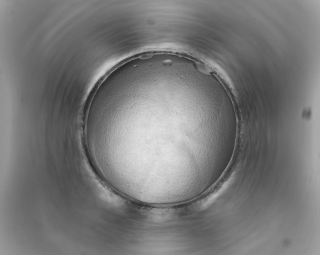X0000090770989200708172104