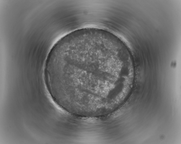 X0000090770991200708172104