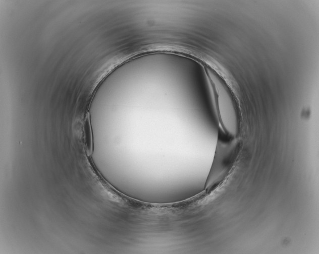 X0000090770993200708172104