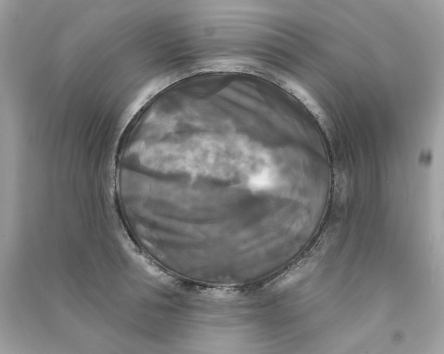 X0000090770994200708172104